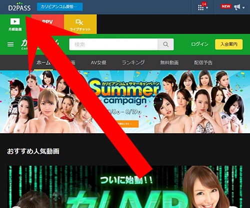 D2passとは